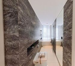 The Oliv (D10), Apartment #622524291